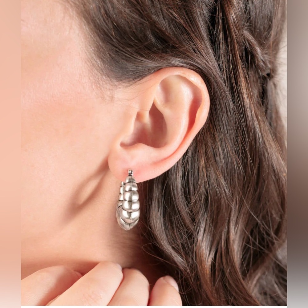 Alex And Ani Bubble Hoop Earrings